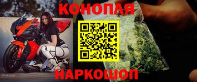 СК Лесосибирск