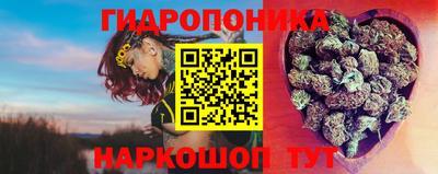 СК Лесосибирск