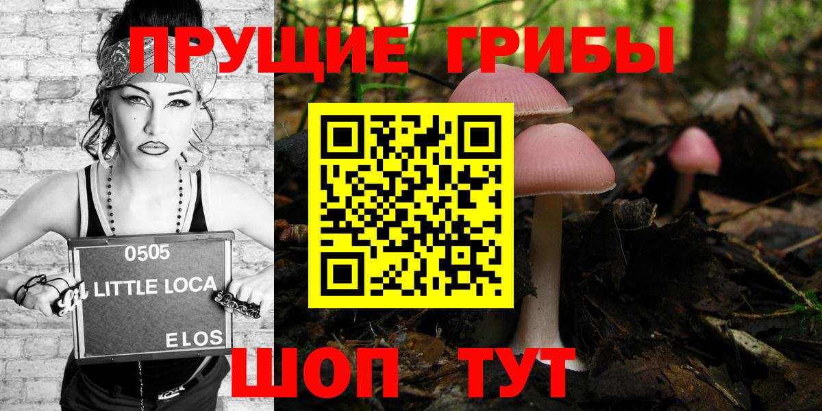 Псилоцибиновые грибы GOLDEN TEACHER  Вход с VPN  наркотики  Торжок 
